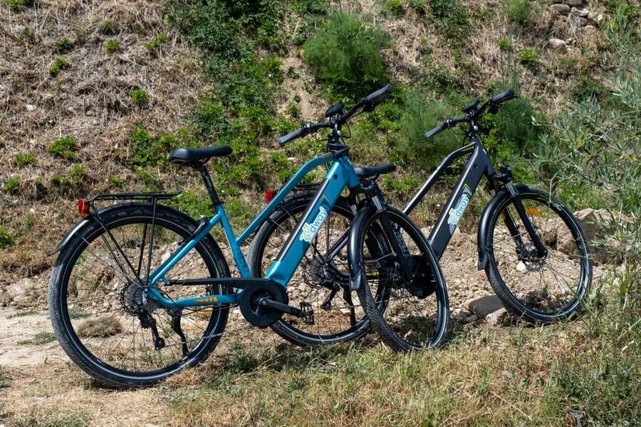 Florence: Chianti E-Bike Tour with Wine Tasting and Lunch - Price and value: is $117 worth it?