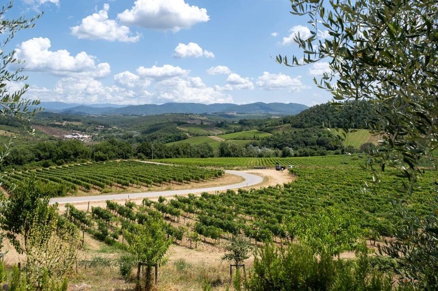 Florence: Chianti E-Bike Tour with Wine Tasting and Lunch - What to bring (and what not to bring) for comfort