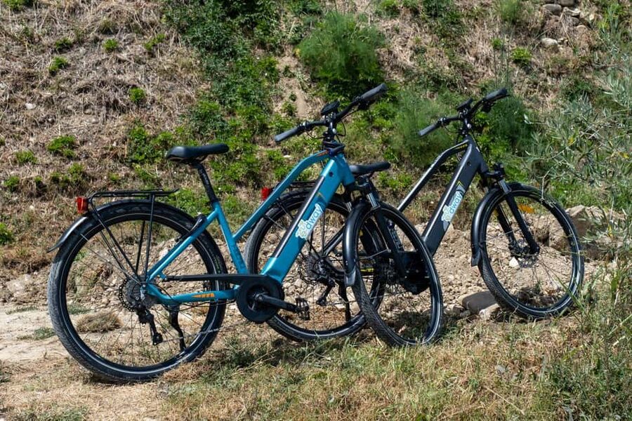 Florence: Chianti E-Bike Tour with Wine Tasting and Lunch - From Borgo Ognissanti to Poggio Imperiale and Pozzolatico