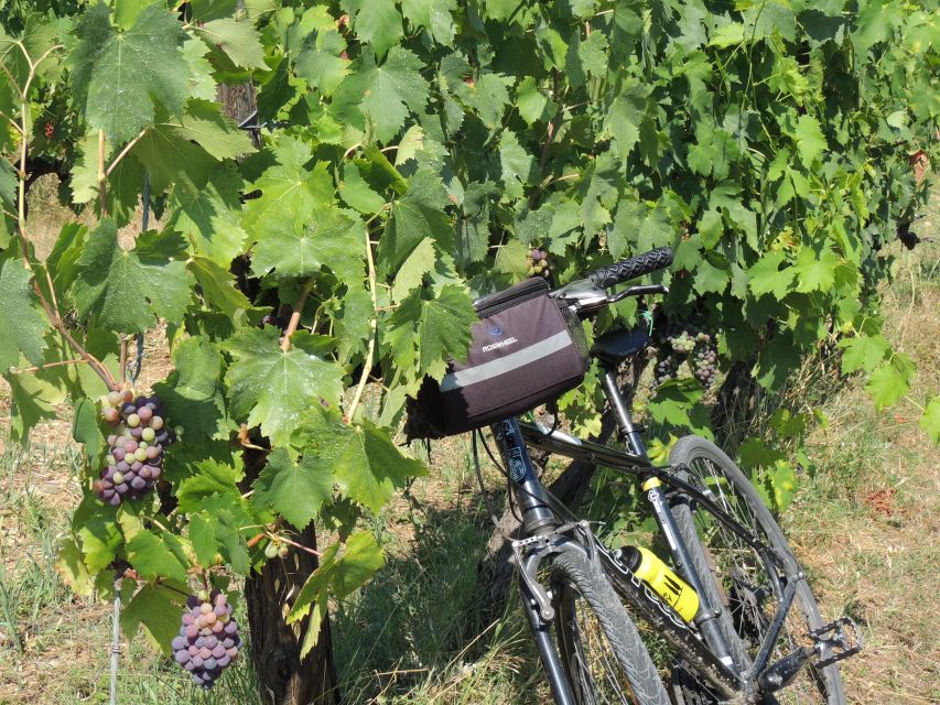 Florence: Chianti Hills Bike Tour with Farm Lunch & Wine - E-bike vs. gears: choosing what fits your fitness