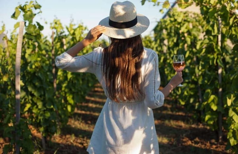 Florence: Chianti Vineyards Tour with Wine Tasting & Dinner - Key highlights that make this tour worth your time