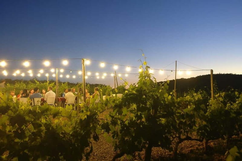 Florence: Chianti Vineyards Tour with Wine Tasting & Dinner - Quick tips to make your evening smoother