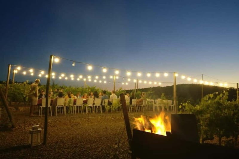 Florence: Chianti Vineyards Tour with Wine Tasting & Dinner - What you’ll actually eat: Tuscan plates with a farm feel