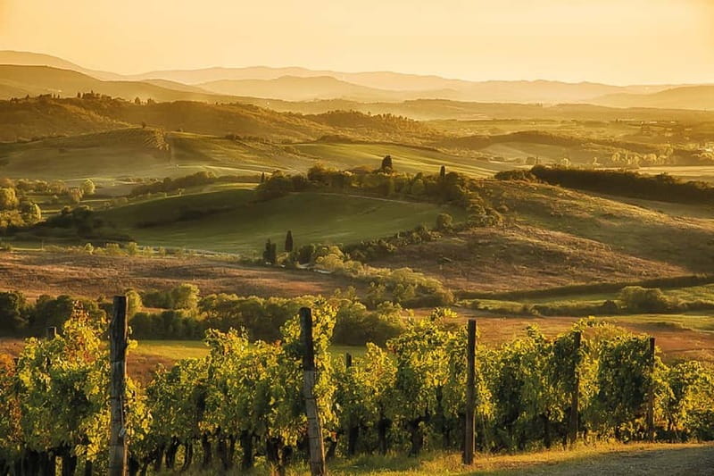 Florence: Chianti Vineyards Tour with Wine Tasting & Dinner - Who should book this Chianti vineyard dinner