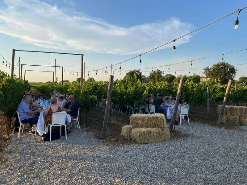 Florence: Chianti Vineyards Tour with Wine Tasting & Dinner - Price and value: is $128 fair for this much included?
