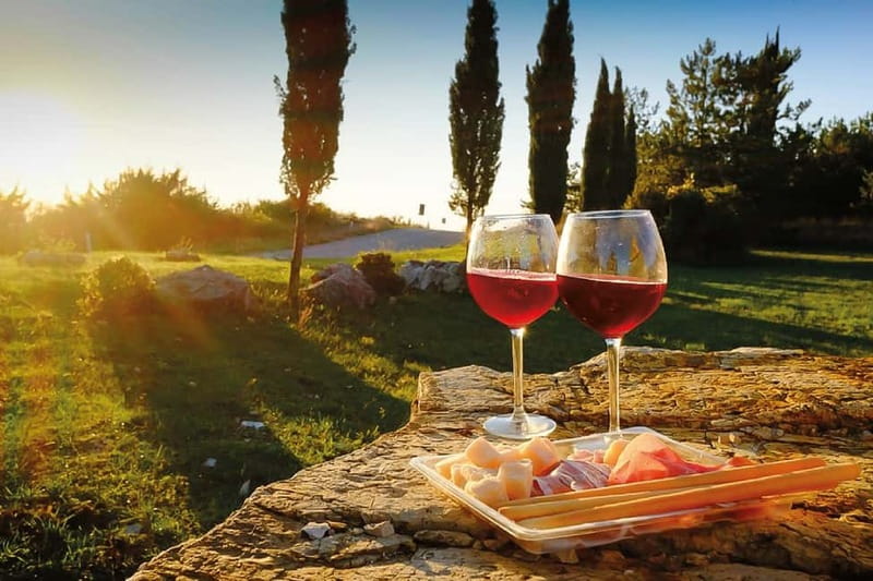 Florence: Chianti Vineyards Tour with Wine Tasting & Dinner - Winery tour and tastings: how the evening starts