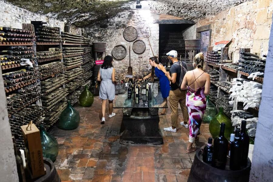 Florence: Chianti Wine Tour with 3 Wineries & Tuscan Lunch - Value Check: Is $234 a Good Deal for 3 Wineries and Lunch?
