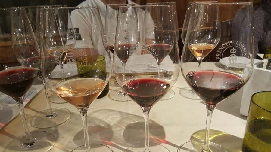 Florence: Chianti Wine Tour with 3 Wineries & Tuscan Lunch - Stop 3: Vineyard Views and Distinct Wines Beyond Chianti