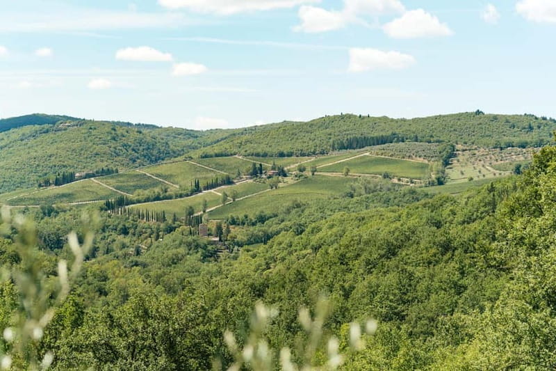 Florence: Chianti Wineries Tour with Wine Tasting - Small tips to make your day smoother