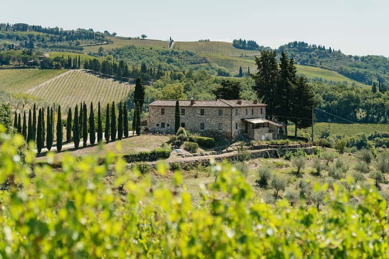 Florence: Chianti Wineries Tour with Wine Tasting - Two winery visits, and the contrast you actually came for