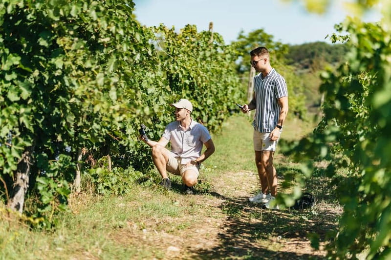 Florence: Chianti Wineries Tour with Wine Tasting - What you should bring (and what can trip you up)