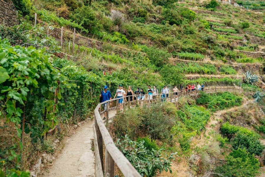 Florence: Cinque Terre Day Trip with Optional Hiking or Pisa - Florence to La Spezia: Getting Set Up for a Smooth Train Day