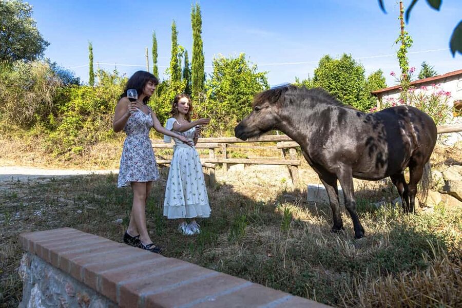 Florence: Cooking Class on a Traditional Tuscan Farm - From Stazione Leopolda to the Chianti Hills: the ride that sets your mood