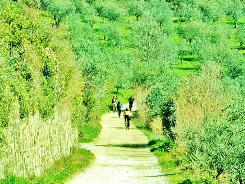 Florence: Country Ebike tour + Wine tasting in organic farm - Practical Tips Before You Go