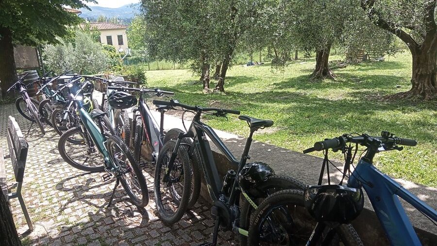 Florence: Country Ebike tour + Wine tasting in organic farm - FAQ