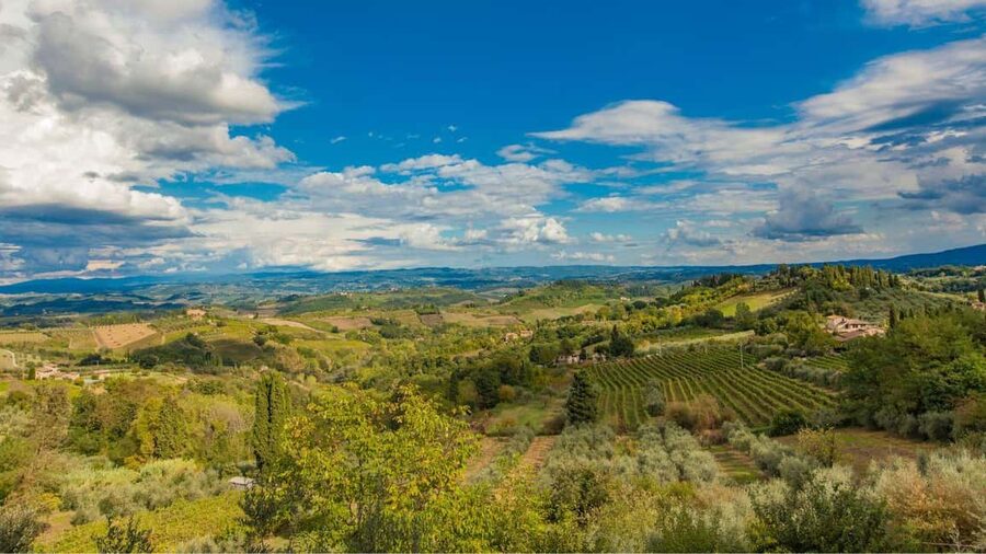 Florence Countryside 2.5h Premium E-Bike Tour + Photo Shoot - Arcetri: the first photo stop and a break that keeps the day fun