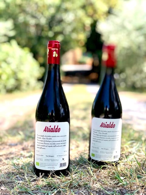 Florence: Countryside Tour with Wine Tasting & Pasta Class - Wine cellar visit and tasting of 5 organic wines