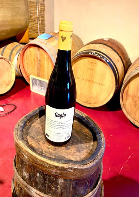 Florence: Countryside Tour with Wine Tasting & Pasta Class - Lunch and dinner flow: appetizers, what you eat, and the limoncello finish