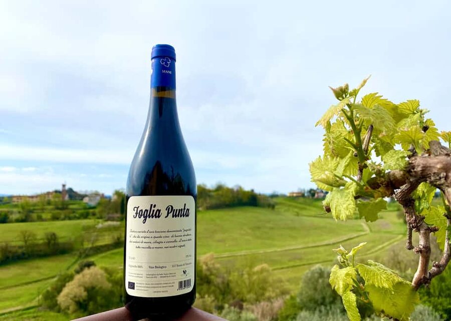 Florence: Countryside Tour with Wine Tasting & Pasta Class - Who should book this tour, and who should skip it