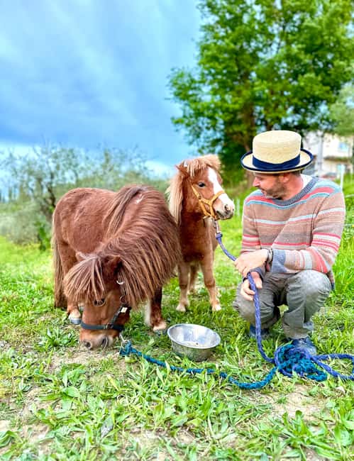 Florence: Countryside Tour with Wine Tasting & Pasta Class - Vineyard walk and botanical garden: what you’ll actually do outside