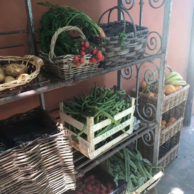 Florence: Culinary Experience in a Lemon House with Sunset and Enchanted Garden - Your Menu in 3 Hours: Appetizers, Fresh Egg Pasta, and Dessert