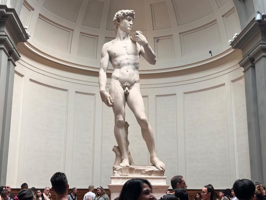 Florence: David's Accademia timed Ticket with Audio APP - Michelangelo’s David in the main hall: how to make it meaningful