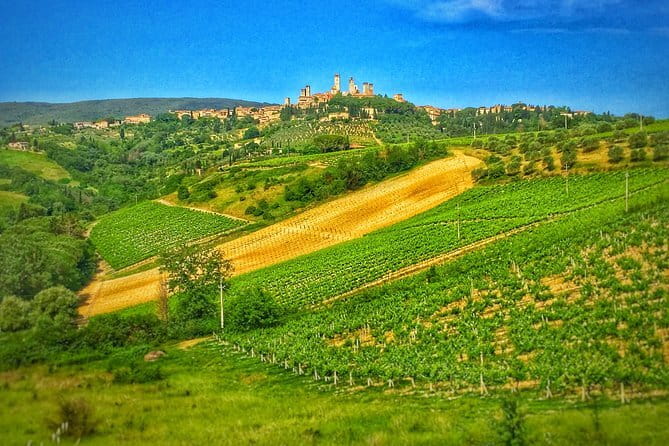 Florence Day Trip: Chianti Wine Tasting, Siena, San Gimignano - Price and Value: What $235.92 Buys You