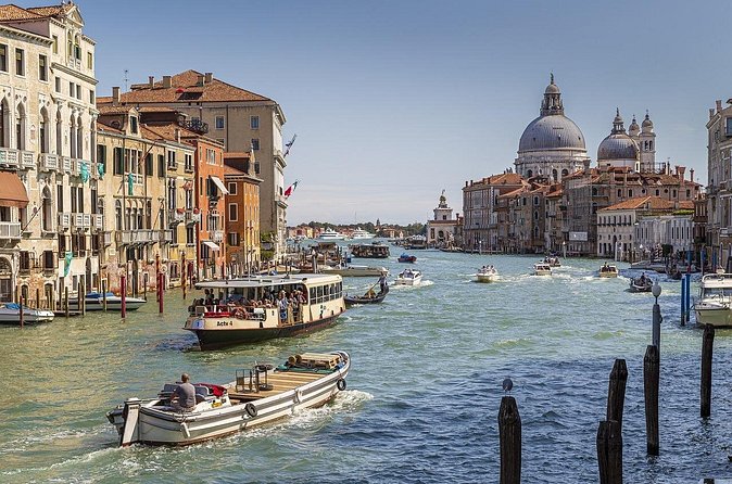 Florence: Day Trip to Venice with Bell Tower Tickets - A 4-hour Venice plan: St Mark’s Square, Rialto, and canal time