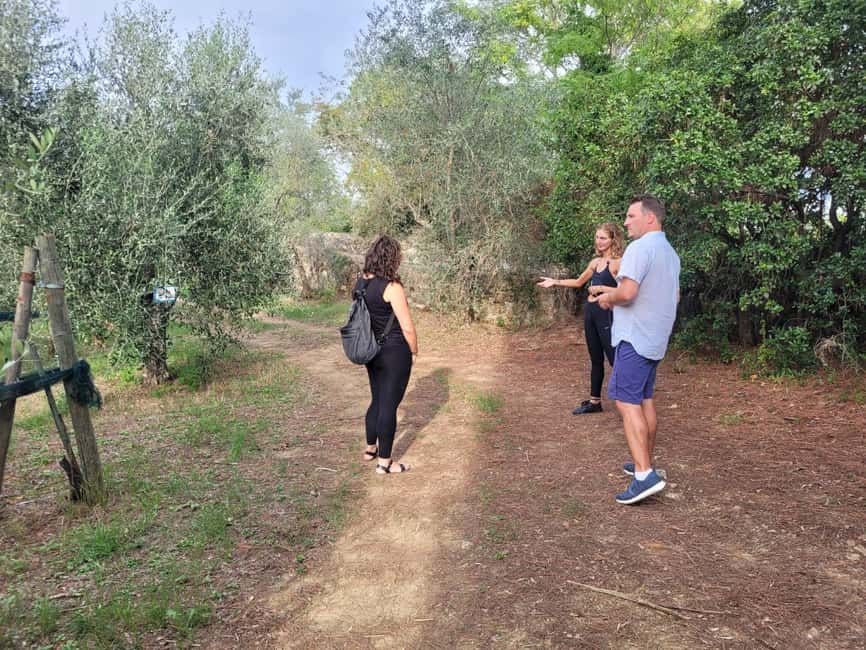 Florence: E-Bike Tour in Tuscany with Winery & Wine Tasting - Small group touring: why max 10 feels better than crowds