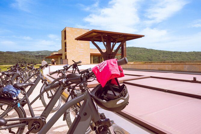 Florence: E-Bike tour to Fiesole with optional Pool or Olive Oil - Morning slot: olive mill and extra virgin olive oil tasting with wine