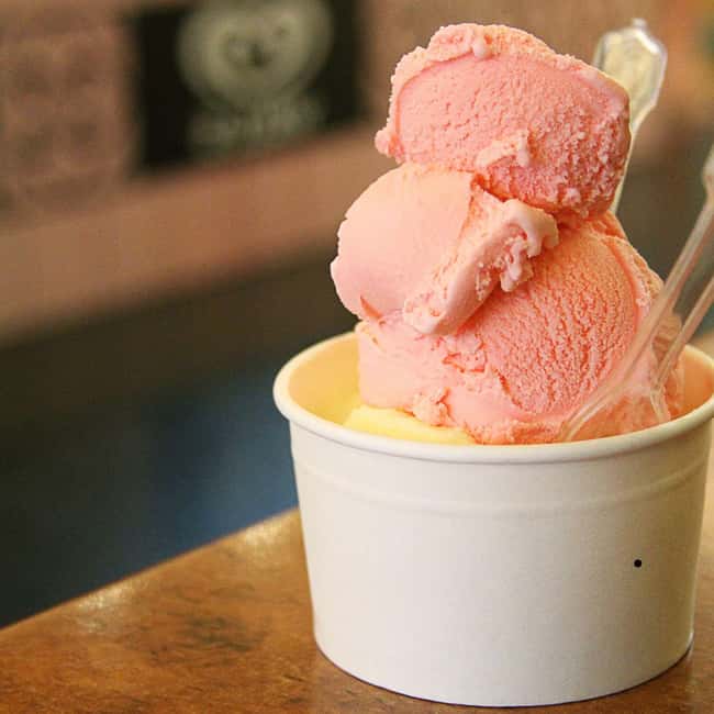 Florence: Food Tour with Wine and Gelato - The Guide Factor: Vanessa, Enrico, and Giovanni’s Kind of Help