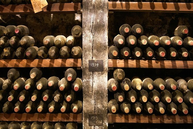 Florence: Great Chianti Wine and Olive Oil Trail with Lunch - Price and logistics: is $104 per person good value?