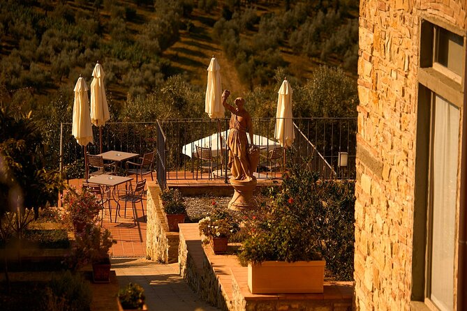 Florence: Great Chianti Wine and Olive Oil Trail with Lunch - Who should book this Chianti wine and olive oil trail