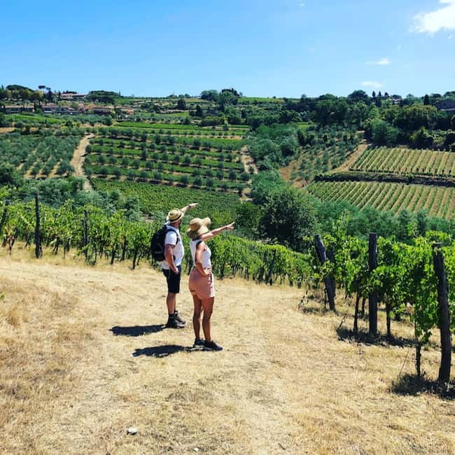 Florence: Hiking Tuscany & Chianti wine 3 wineries and lunch - Quick hits before you lace up