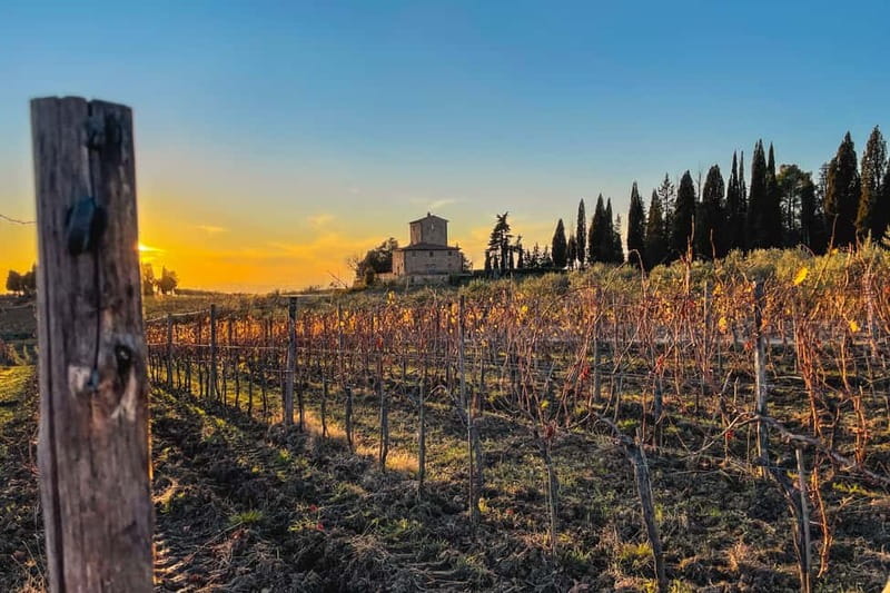 Florence: Hiking Tuscany & Chianti wine 3 wineries and lunch - Why this Chianti Classico wine hike feels different
