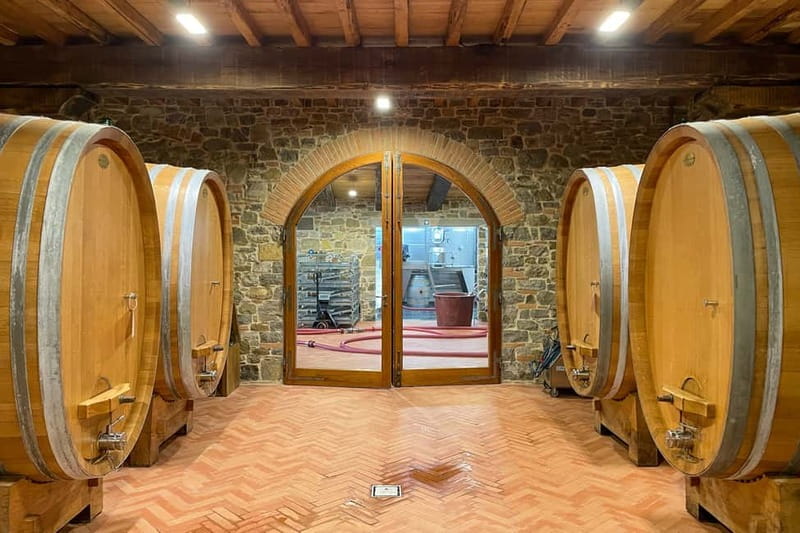 Florence: Hiking Tuscany & Chianti wine 3 wineries and lunch - The morning walk through Conca d’oro: a natural amphitheater vibe