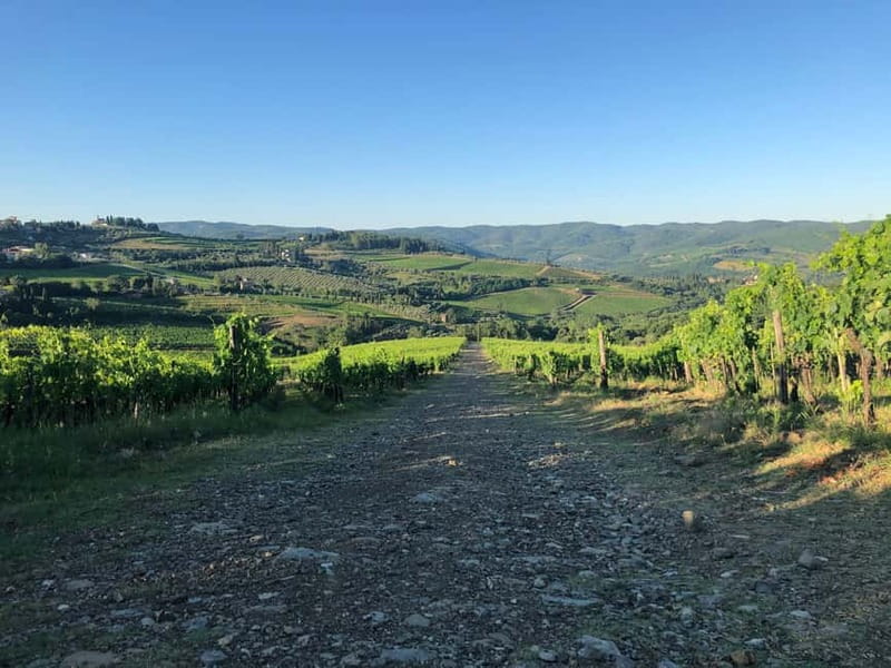 Florence: Hiking Tuscany & Chianti wine 3 wineries and lunch - Stop 1 in Panzano: a medieval cellar and family wine history