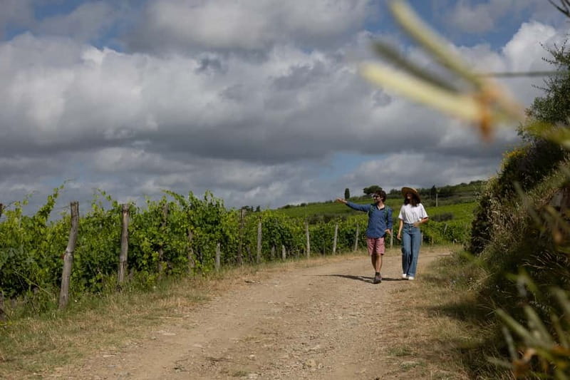 Florence: Hiking Tuscany & Chianti wine 3 wineries and lunch - The last stop: a modern winery with old-school knowledge