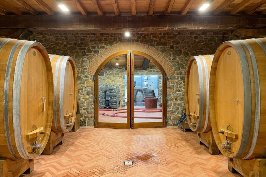 Florence: Hiking Tuscany & Chianti wine 3 wineries and lunch - Olive oil, cheese, salami, ham, and saffron: not just wine