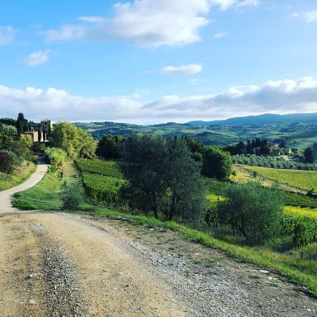 Florence: Hiking Tuscany & Chianti wine 3 wineries and lunch - Panzano in Chianti start: minivan rides and a little mystery