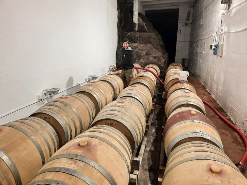 Florence Hills : Winery Tour 18 km from Florence - Vineyard walking and Tuscan-style farmhouses