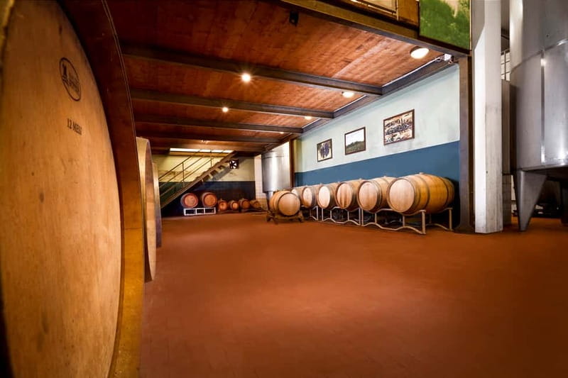 Florence Hills : Winery Tour 18 km from Florence - Tasting Chianti wines and extra-virgin olive oil