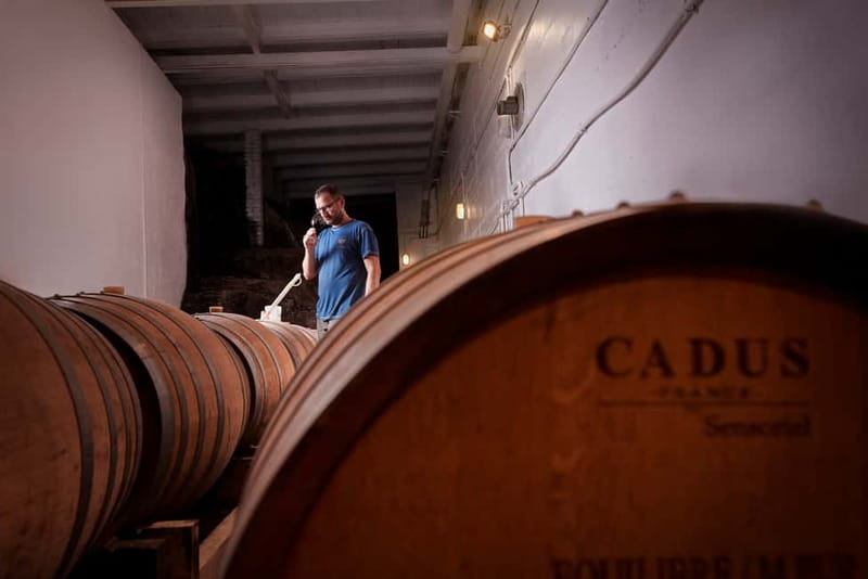 Florence Hills : Winery Tour 18 km from Florence - Should you book Florence Hills Winery Tour?