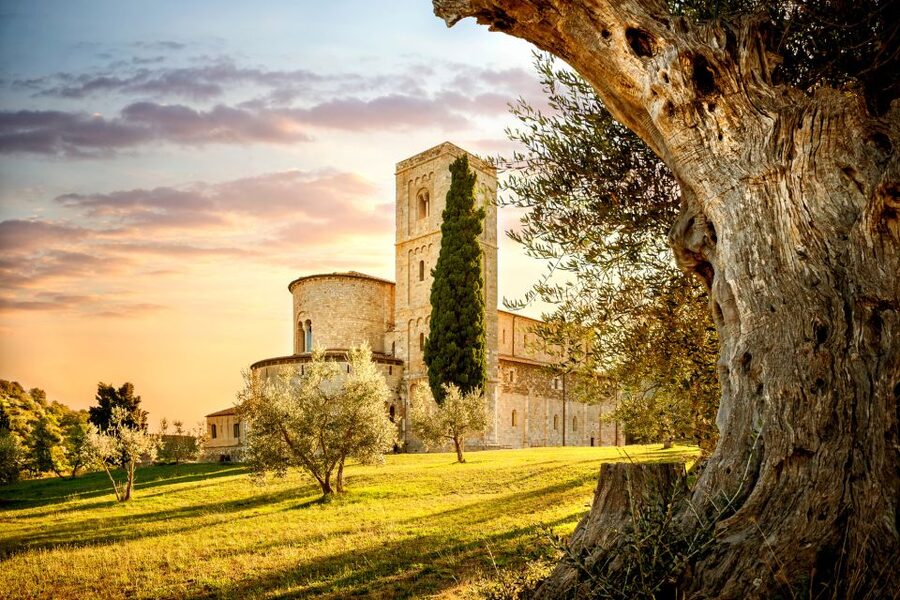 Florence: Monteriggioni & Val d'Orcia Optional Wine Tasting - Price and value: what you’re paying for around $51