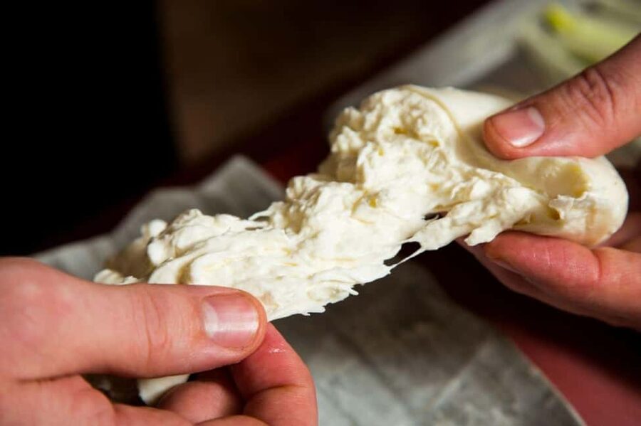Florence: Mozzarella Making Workshop with Wine Tasting - Wine tasting in Tuscany: pairing with both organic and conventional bottles