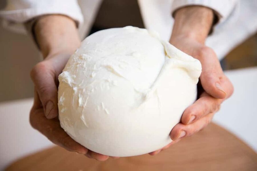 Florence: Mozzarella Making Workshop with Wine Tasting - Making mozzarella, burrata, and stracciatella in one workshop