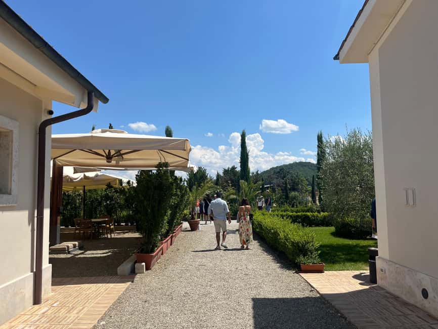 Florence: Pisa, Siena, & San Gimignano Day Trip with Lunch - Should You Book It?