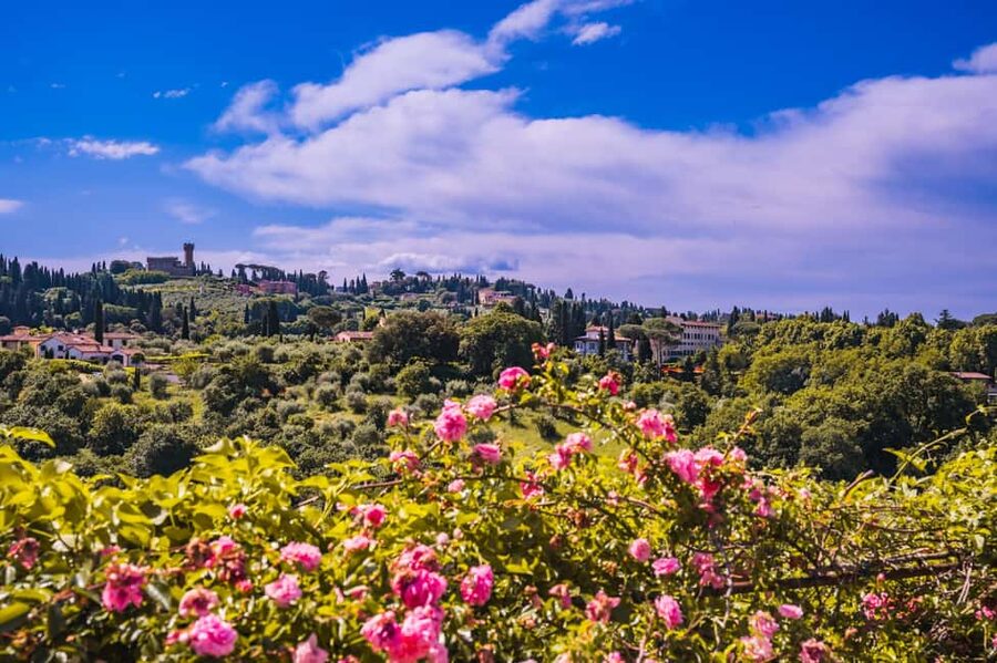 Florence: Pitti Palace and Boboli Gardens Guided Tour - Palatine Gallery: Raphael, Titian, and Caravaggio in One Guided Route