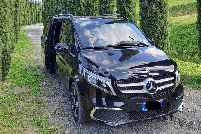 Florence private city car Tour by Mercedes Car with driver - A private Mercedes tour is the smart way to beat Florence friction
