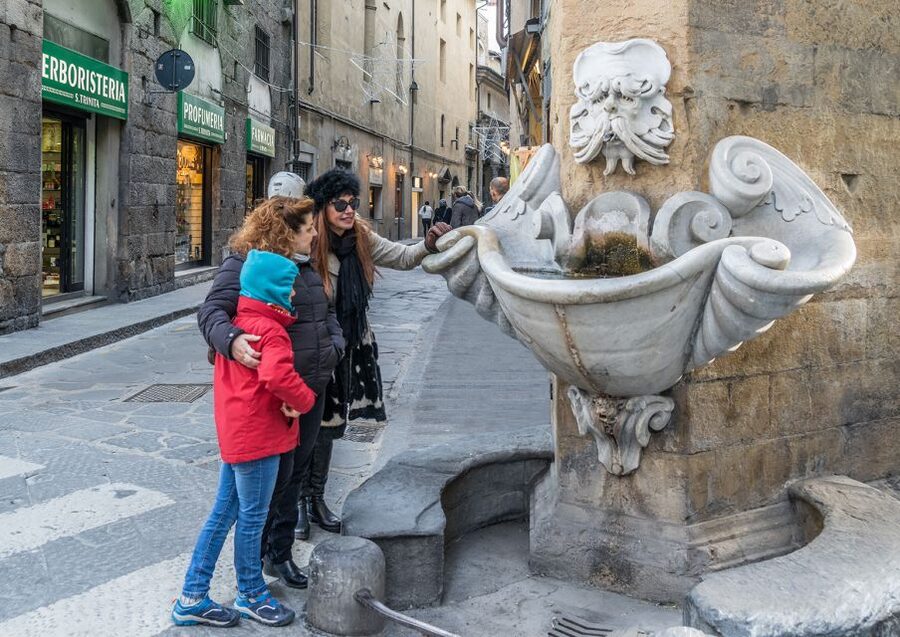 Florence: Private City Walking Tour - Piazza della Signoria and La Loggia dei Lanzi: politics meets sculpture